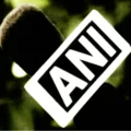 media news